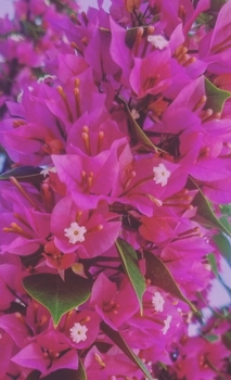 Hardcover Flower Tower Sketchbook Book