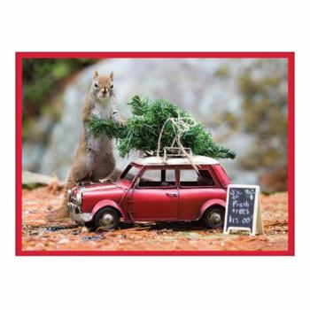 Cards Secret Life of Squirrels Half Notecards Book