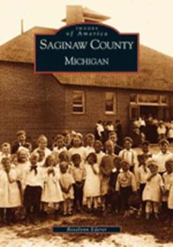 Paperback Saginaw County, Michigan Book