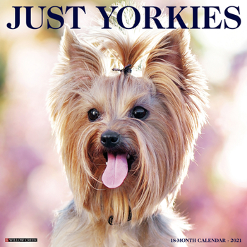 Calendar Just Yorkies 2021 Wall Calendar (Dog Breed Calendar) Book
