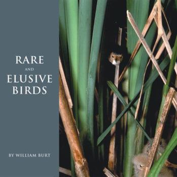 Hardcover Rare and Elusive Birds of North America Book