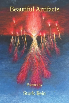Paperback Beautiful Artifacts Book