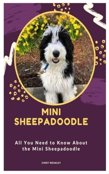 Paperback Mini Sheepadoodle: All You Need to Know About the Mini Sheepadoodle Book