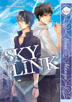 Paperback Sky Link Book