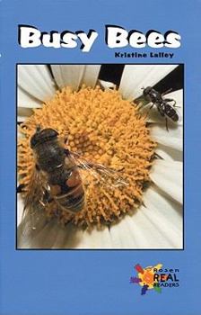 Paperback Busy Bees Book