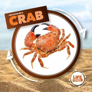 Hardcover Crab (Life Cycle of A...) Book