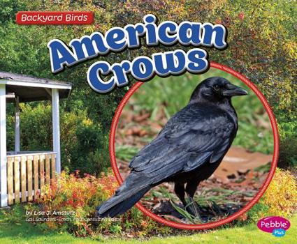 American Crows - Book  of the Backyard Birds