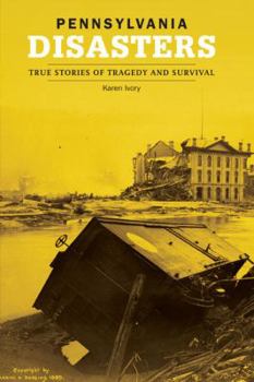 Paperback Pennsylvania Disasters: True Stories of Tragedy and Survival Book