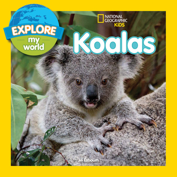Paperback Explore My World Koalas Book