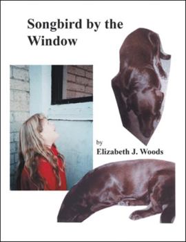 Paperback Songbird by the Window Book