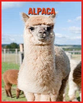 Alpaca: Alpaca Affascinanti Fatti per i bambini con immagini mozzafiato!
