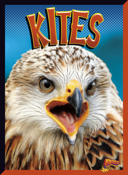 Paperback Kites Book
