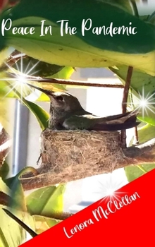 Hardcover Peace In The Pandemic Book