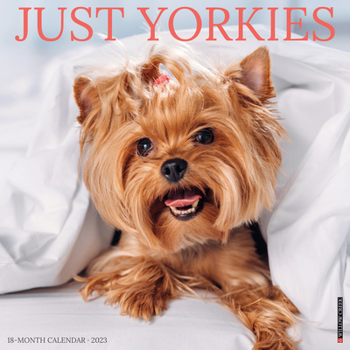 Calendar Just Yorkies 2023 Wall Calendar Book