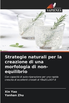 Paperback Strategie naturali per la creazione di una morfologia di non-equilibrio [Italian] Book