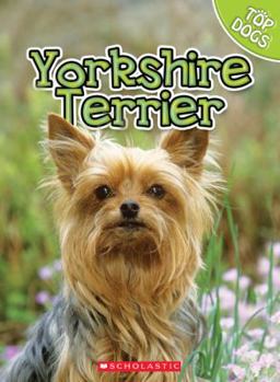 Library Binding Yorkshire Terrier Book