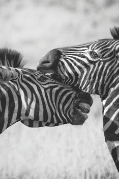 Zebra Kalender: Zebra Kalender 2019/2020 ab Juli - Terminplaner ab Jahresmitte - A5+ - Geschenk f�r Zebra Liebhaber