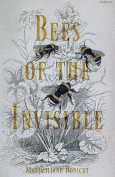 Paperback Bees of the Invisible Book