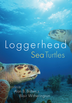Paperback Loggerhead Sea Turtles Book