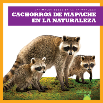 Library Binding Cachorros de Mapache En La Naturaleza (Raccoon Cubs in the Wild) [Spanish] Book