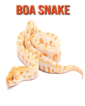 Paperback Boa Snake: Incredible Pictures and Fun Facts about Boa Snake Book