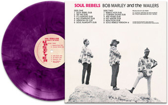 Vinyl Soul Rebels Dub   Purple Marble Book