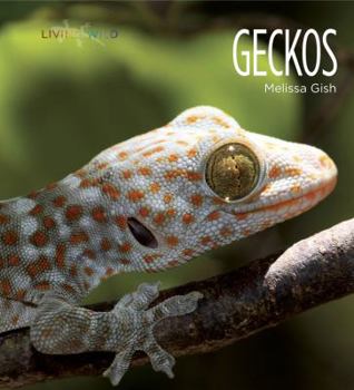 Geckos - Book  of the Living Wild