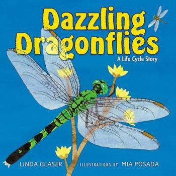 Library Binding Dazzling Dragonflies: A Life Cycle Story Book