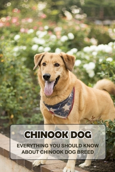 Chinook Dog: Everything You Should Know About Chinook Dog Breed: Things You Didn't Know about the Chinook Dog