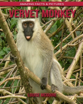 Paperback Vervet Monkey: Amazing Facts & Pictures Book