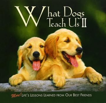 Hardcover What Dogs Teach Us II: More! Life's Lessons Learned from Our Best Friends Book