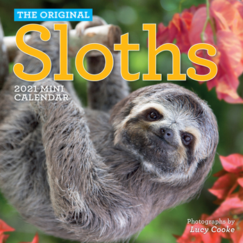 Calendar Original Sloths Mini Wall Calendar 2021 Book