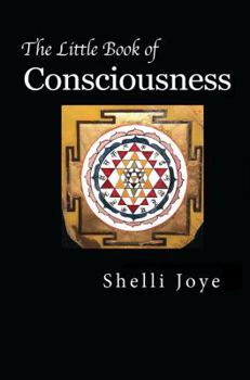 The Little Book of Consciousness: Pribram's Holonomic Brain Theory and Bohm's Implicate Order