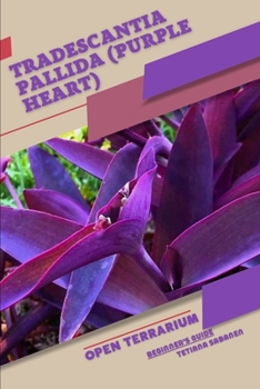 Tradescantia pallida (Purple Heart): Open terrarium, Beginner's Guide