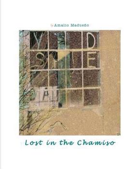 Paperback Lost In The Chamiso Book