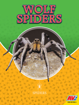 Library Binding Wolf Spiders Book
