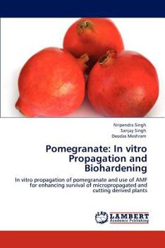 Paperback Pomegranate: In vitro Propagation and Biohardening Book