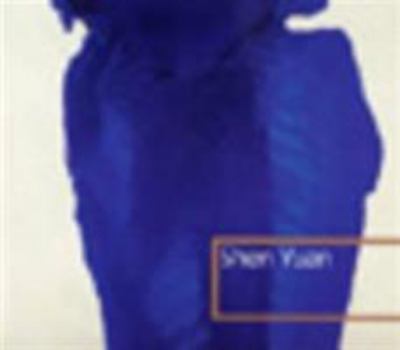 Paperback Shen Yuan [Italian] Book