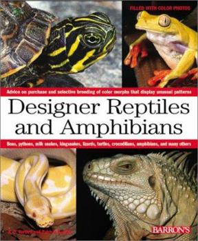 Paperback Designer Reptiles and Amphibians Book
