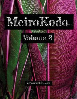 Paperback MeiroKodo: Volume 3 Book