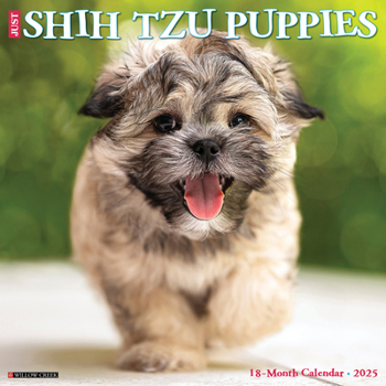 Calendar Just Shih Tzu Puppies 2025 12 X 12 Wall Calendar Book