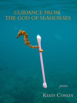 Paperback Guidance from the God of Seahorses Book