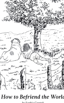 Paperback How to Befriend the World Book