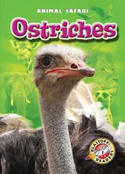 Ostriches - Book  of the Animal Safari