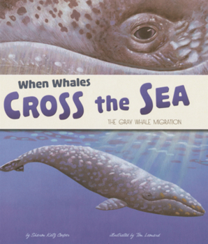 When Whales Cross the Sea: The Gray Whale Migration