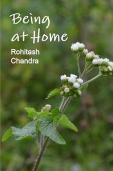 Paperback Being at Home Book