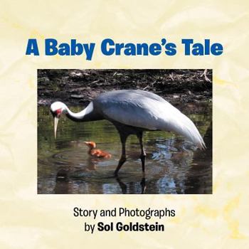 Paperback A Baby Crane's Tale Book