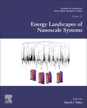 Paperback Energy Landscapes of Nanoscale Systems: Volume 21 Book