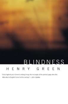 Paperback Blindness (British Literature) Book