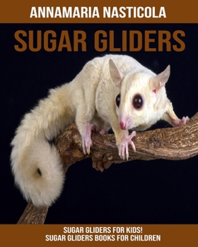 Sugar gliders for Kids! Sugar gliders Books for Children